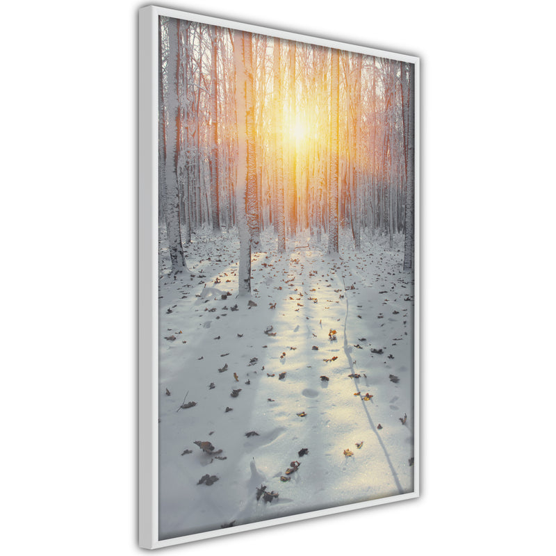 Poster - Frosty Sunset  - wit