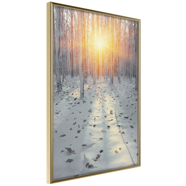 Poster - Frosty Sunset  - goud