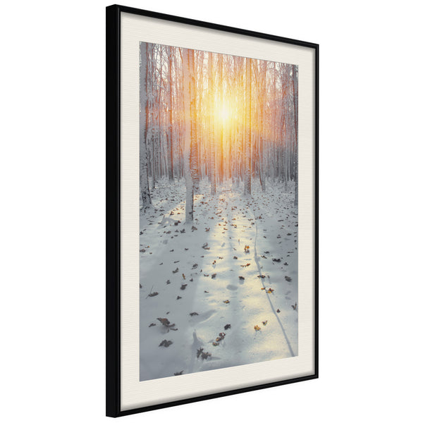 Poster - Frosty Sunset  - zwart passepartout
