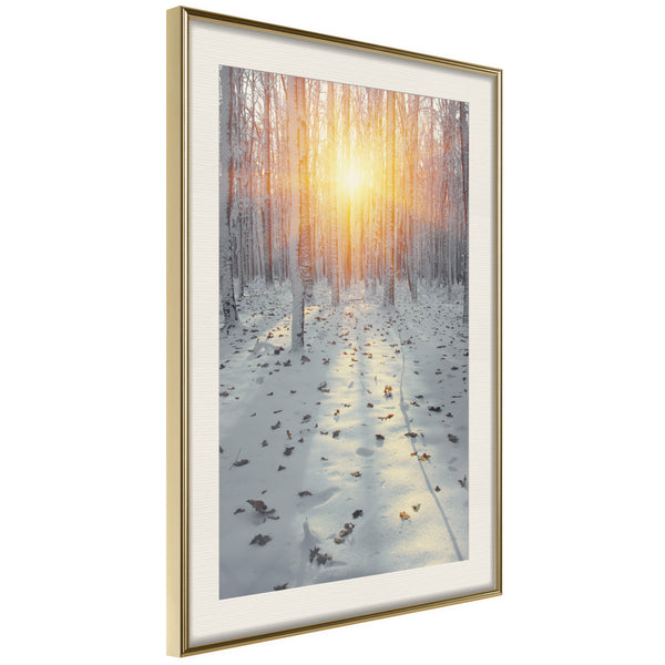 Poster - Frosty Sunset  - goud passepartout