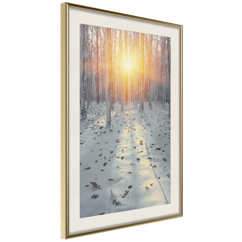 Poster - Frosty Sunset  - goud passepartout