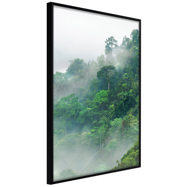 Poster - Green Lungs of the Earth II  - zwart