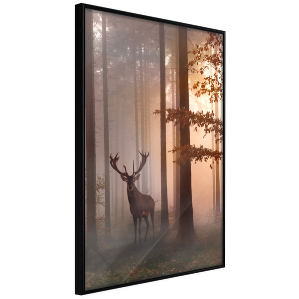 Poster - Forest Seclusion  - zwart