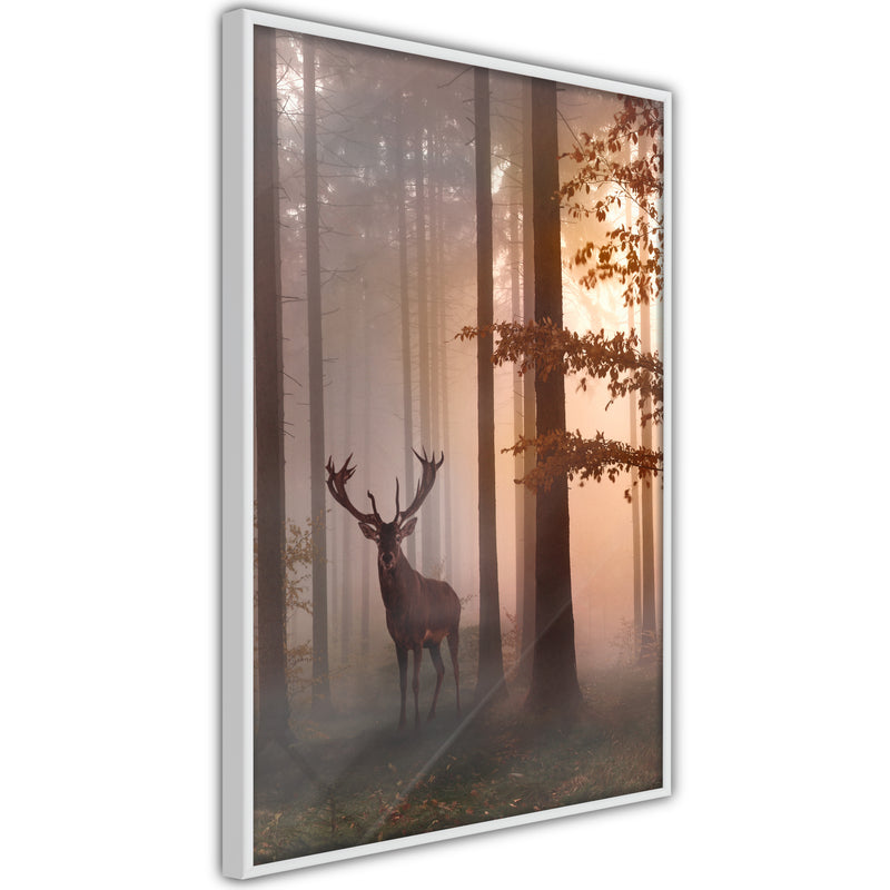 Poster - Forest Seclusion  - wit