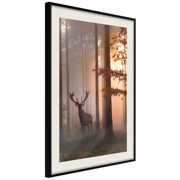 Poster - Forest Seclusion  - zwart passepartout