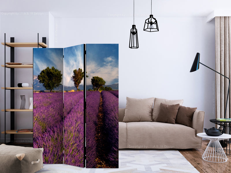 https://www.fotoartgeist.pl/ebaytemp/parawan/c-C-0260-z-b/c-C-0260-z-b-ebVis2.jpg