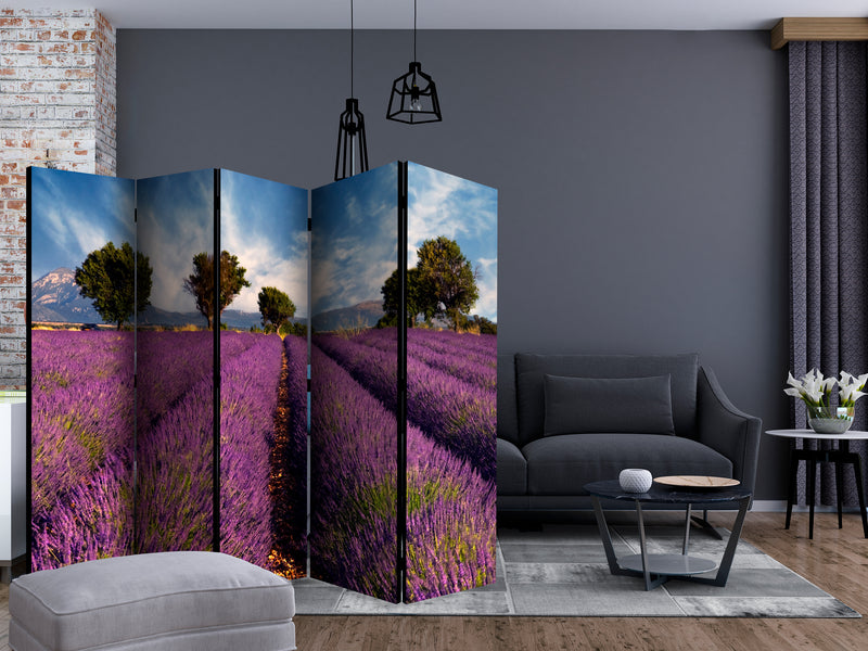 https://www.fotoartgeist.pl/ebaytemp/parawan/c-C-0260-z-c/c-C-0260-z-c-ebVis2.jpg