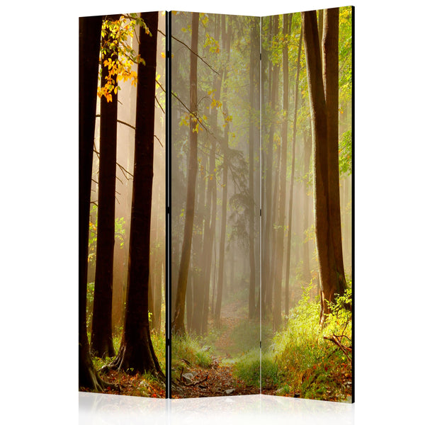 https://www.fotoartgeist.pl/ebaytemp/parawan/c-C-0275-z-b/c-C-0275-z-b-eb1.jpg