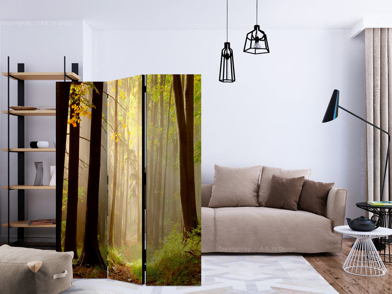 https://www.fotoartgeist.pl/ebaytemp/parawan/c-C-0275-z-b/c-C-0275-z-b-ebVis2.jpg