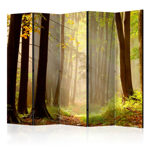 https://www.fotoartgeist.pl/ebaytemp/parawan/c-C-0275-z-c/c-C-0275-z-c-eb1.jpg