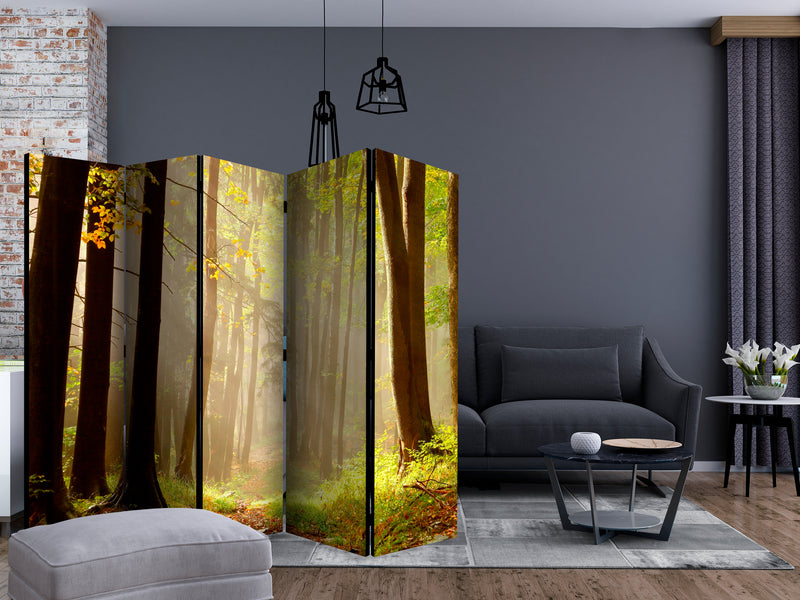 https://www.fotoartgeist.pl/ebaytemp/parawan/c-C-0275-z-c/c-C-0275-z-c-ebVis2.jpg