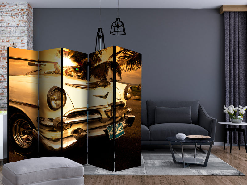 https://www.fotoartgeist.pl/ebaytemp/parawan/c-C-0305-z-c/c-C-0305-z-c-ebVis2.jpg