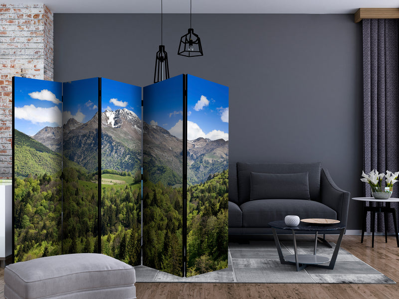 https://www.fotoartgeist.pl/ebaytemp/parawan/c-C-0345-z-c/c-C-0345-z-c-ebVis2.jpg