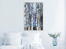 Poster - Winter Birch Trees  - wit