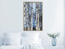 Poster - Winter Birch Trees  - goud