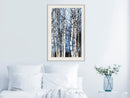 Poster - Winter Birch Trees  - wit passepartout