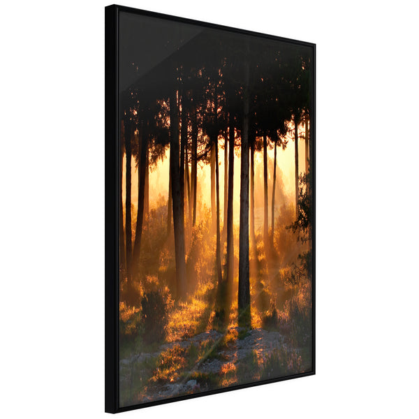 Poster - Dark Tree Tops  - zwart