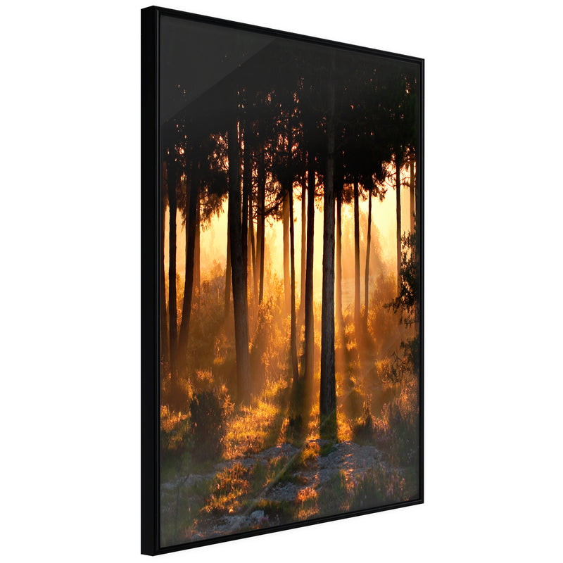 Poster - Dark Tree Tops  - zwart
