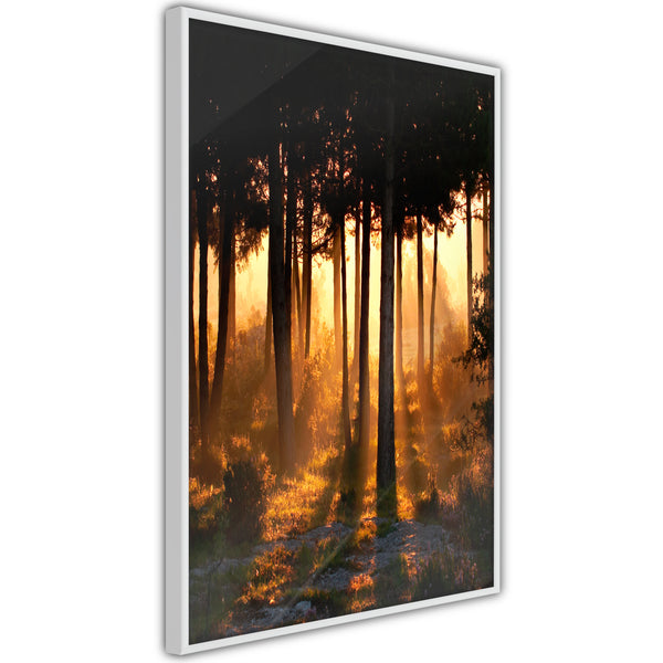 Poster - Dark Tree Tops  - wit
