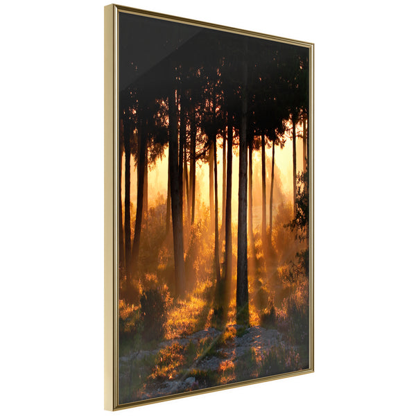 Poster - Dark Tree Tops  - goud