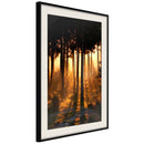 Poster - Dark Tree Tops  - zwart passepartout