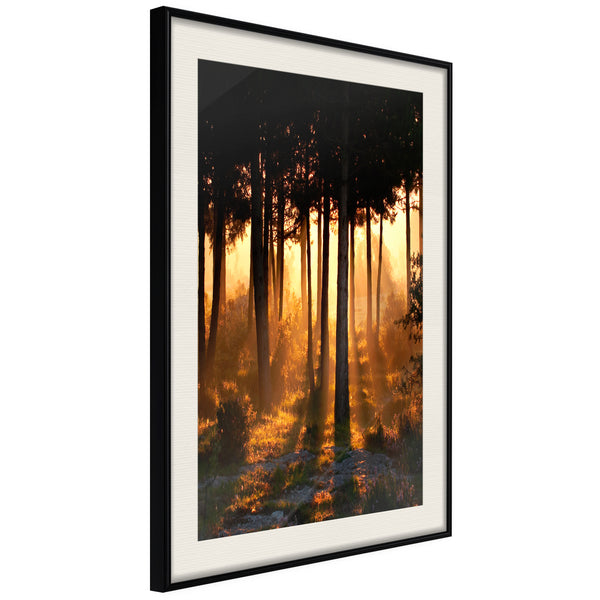 Poster - Dark Tree Tops  - zwart passepartout