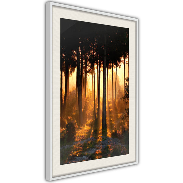 Poster - Dark Tree Tops  - wit passepartout