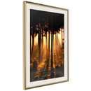 Poster - Dark Tree Tops  - goud passepartout