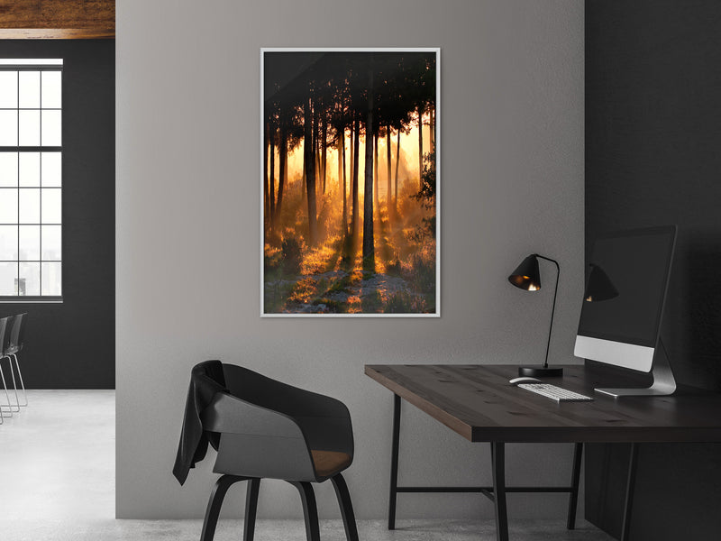 Poster - Dark Tree Tops  - wit