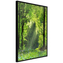 Poster - Forest Path  - zwart