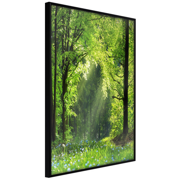 Poster - Forest Path  - zwart