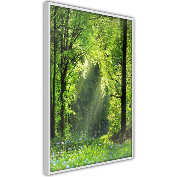 Poster - Forest Path  - wit