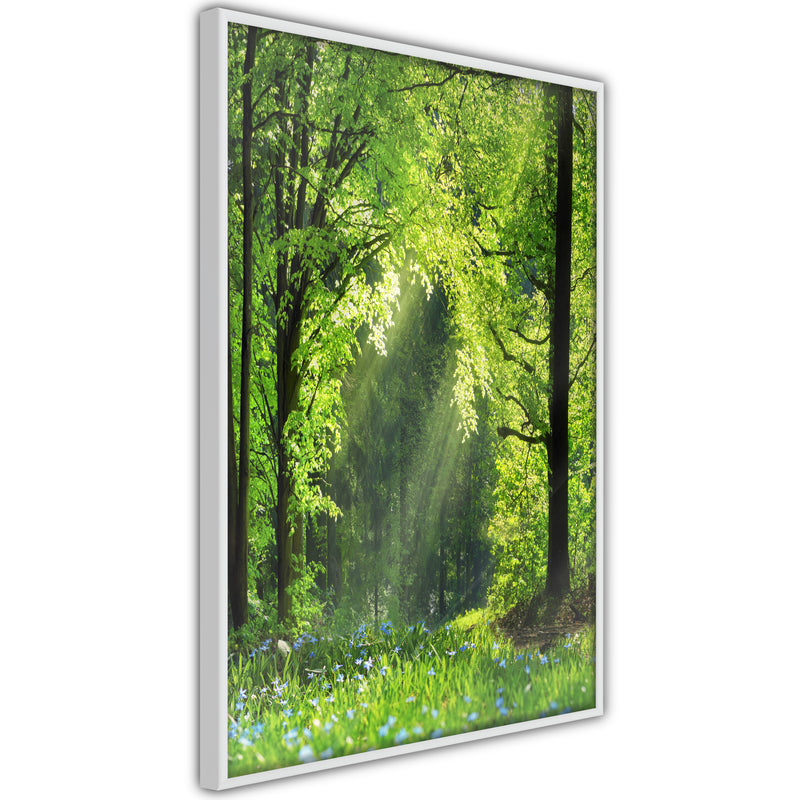 Poster - Forest Path  - wit