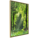 Poster - Forest Path  - goud