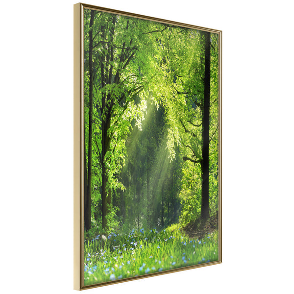 Poster - Forest Path  - goud
