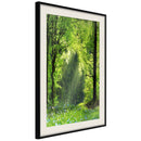 Poster - Forest Path  - zwart passepartout