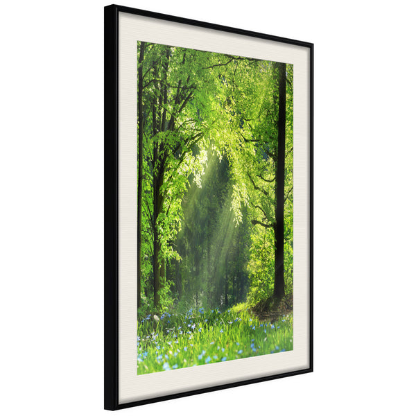 Poster - Forest Path  - zwart passepartout