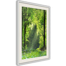 Poster - Forest Path  - wit passepartout