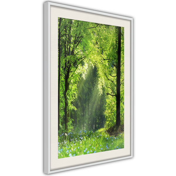 Poster - Forest Path  - wit passepartout