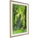 Poster - Forest Path  - goud passepartout