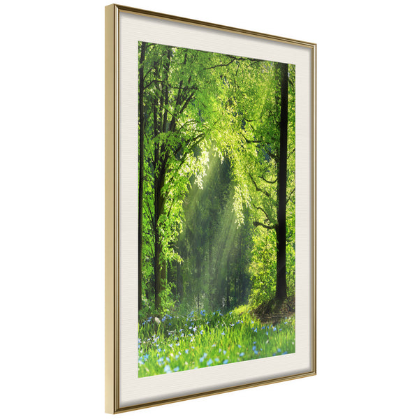 Poster - Forest Path  - goud passepartout