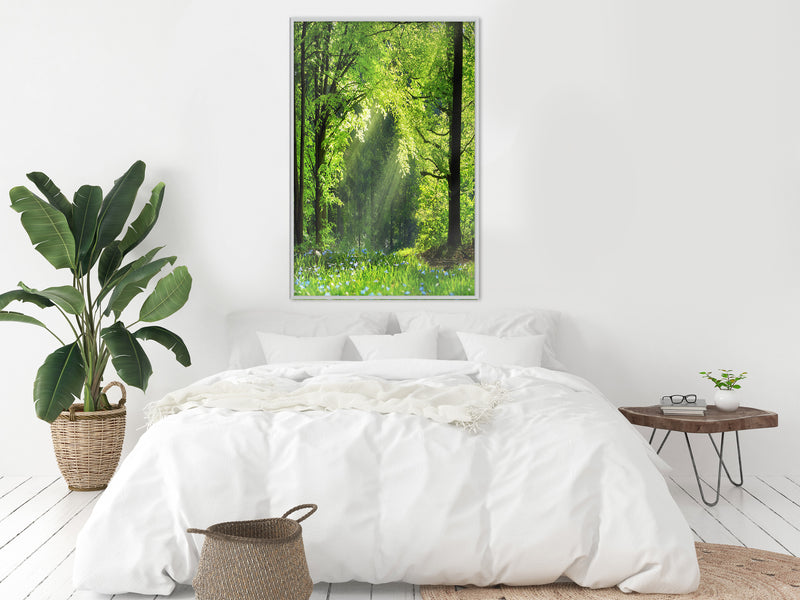 Poster - Forest Path  - wit