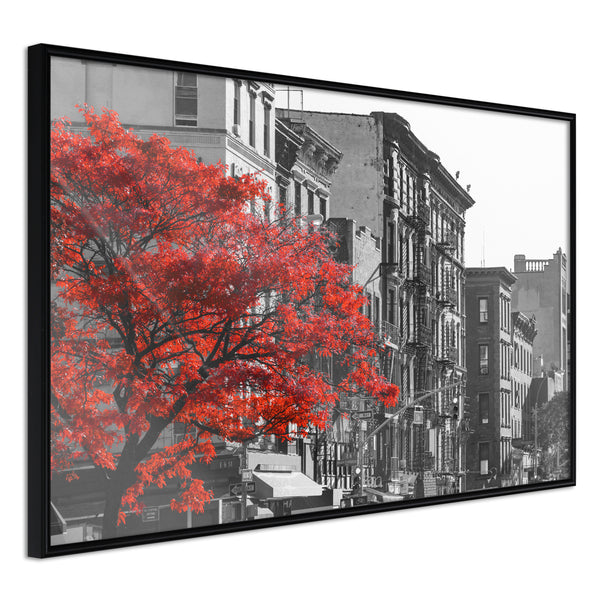 Poster - Autumn Colours II  - zwart