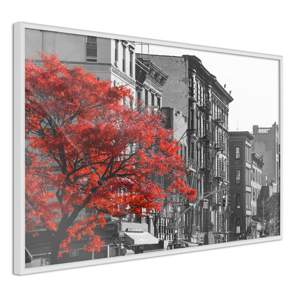 Poster - Autumn Colours II  - wit