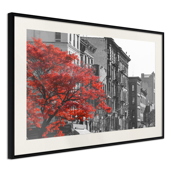 Poster - Autumn Colours II  - zwart passepartout