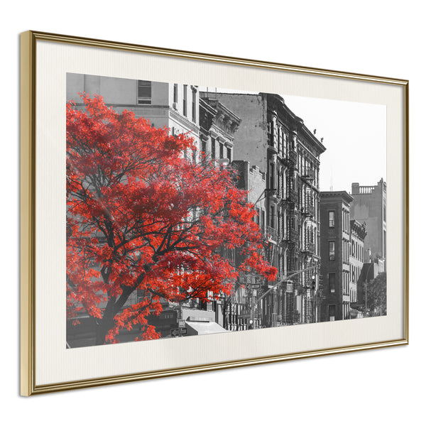 Poster - Autumn Colours II  - goud passepartout