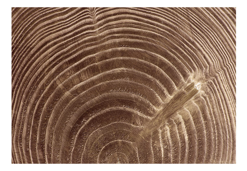https://www.fotoartgeist.pl/ebaytemp/fototapety/f-A-0262-a-c/f-A-0262-a-c.jpg