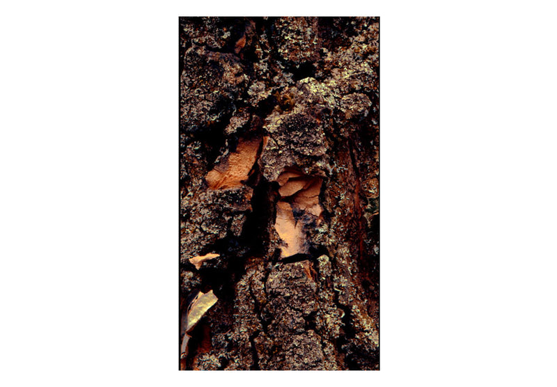 https://www.fotoartgeist.pl/ebaytemp/rolki/f-A-0345-j-a/f-A-0345-j-a.jpg