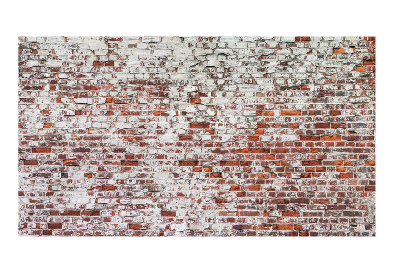 https://www.fotoartgeist.pl//ebaytemp/fototapety/f-A-0452-a-a/f-A-0452-a-a.jpg