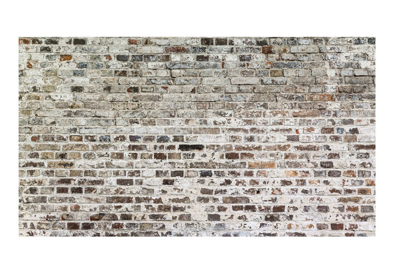 https://www.fotoartgeist.pl//ebaytemp/fototapety/f-A-0457-a-a/f-A-0457-a-a.jpg